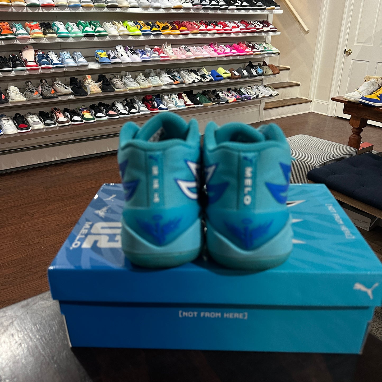 *USED* Lamelo Rookie of The Year size 10