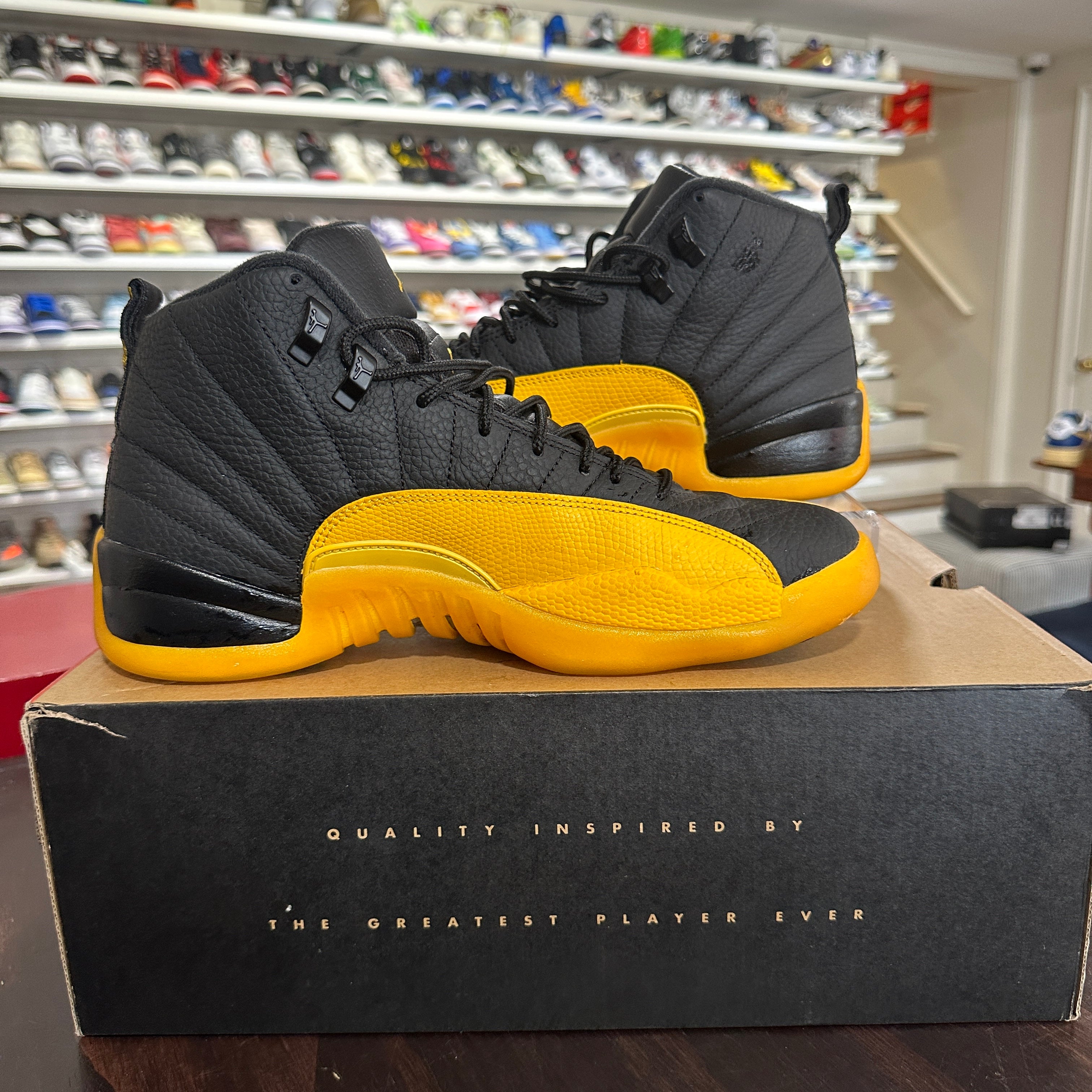 retro 12 black university