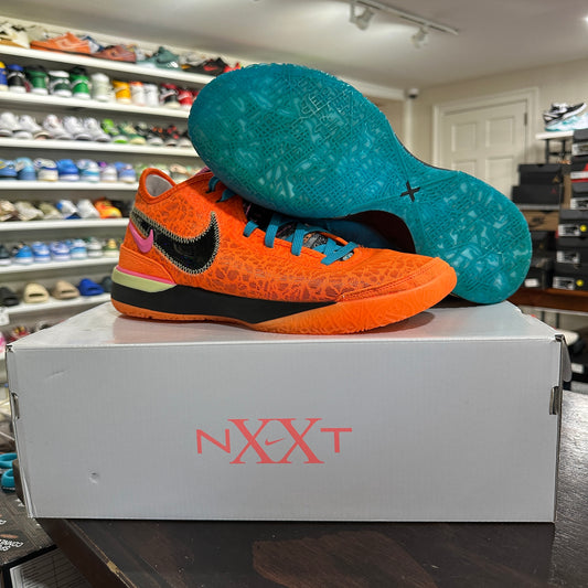 *USED* Nike Zoom LeBron NXXT Gen I Promise (Size 12)