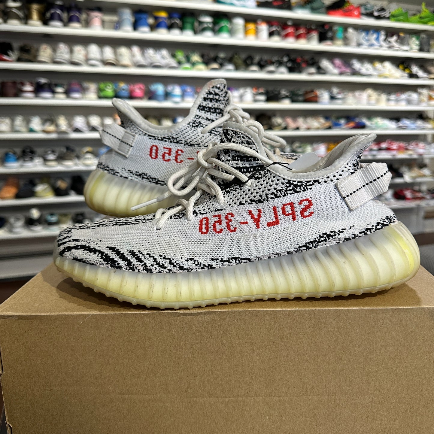 *USED* Yeezy 350 Zebra (Size 9)