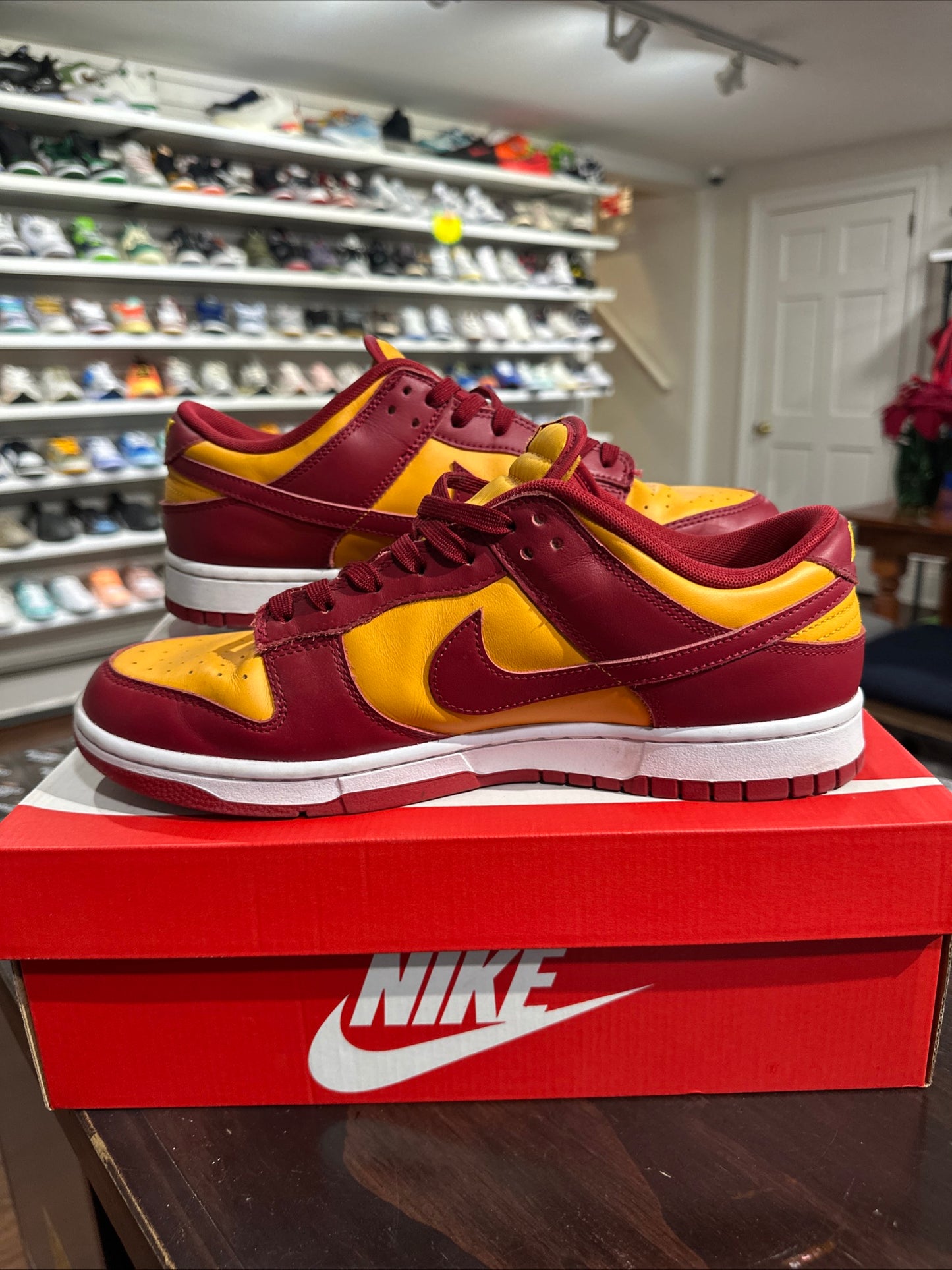 *USED* Dunk Low USC (Size 11)