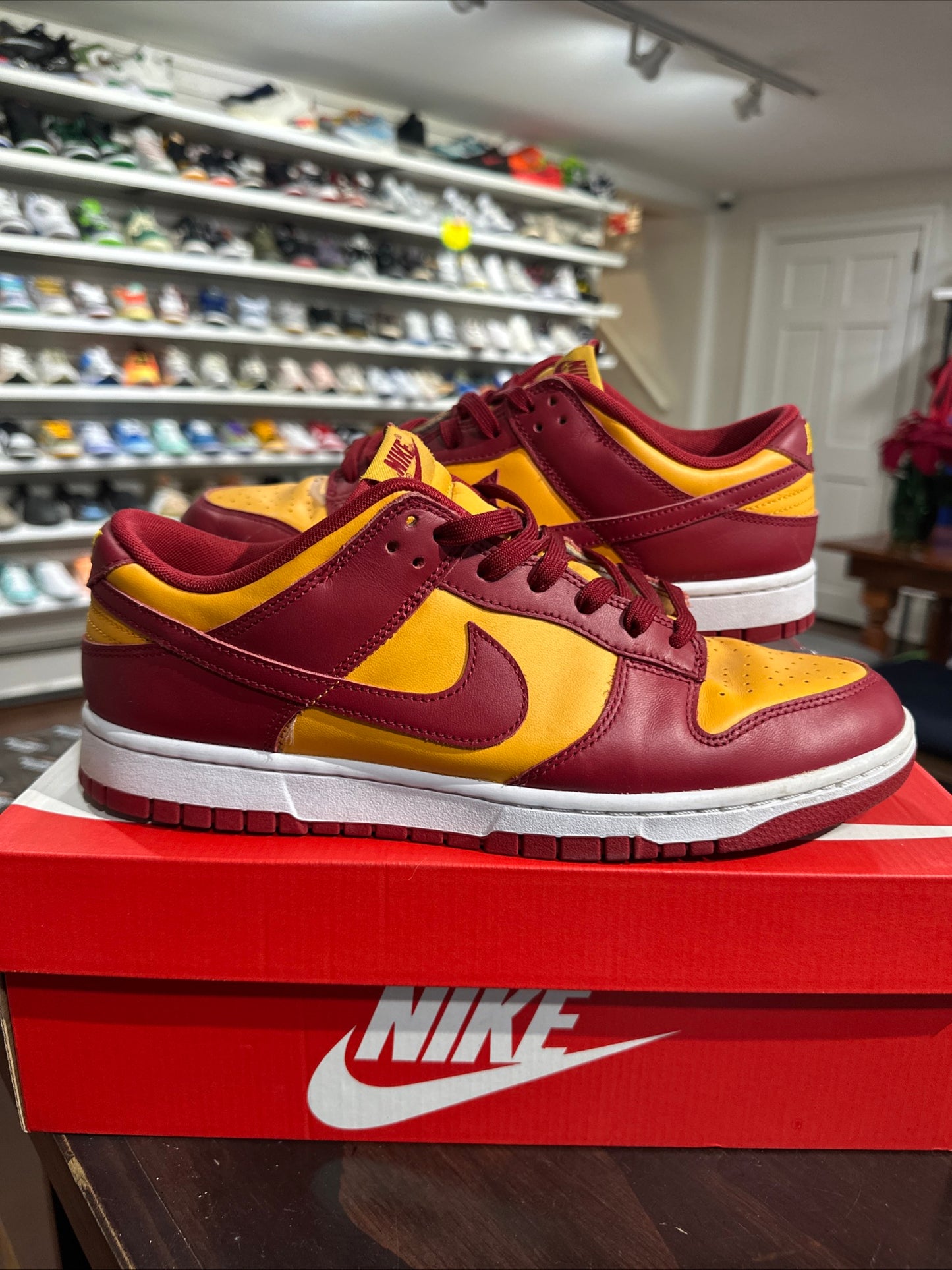 *USED* Dunk Low USC (Size 11)