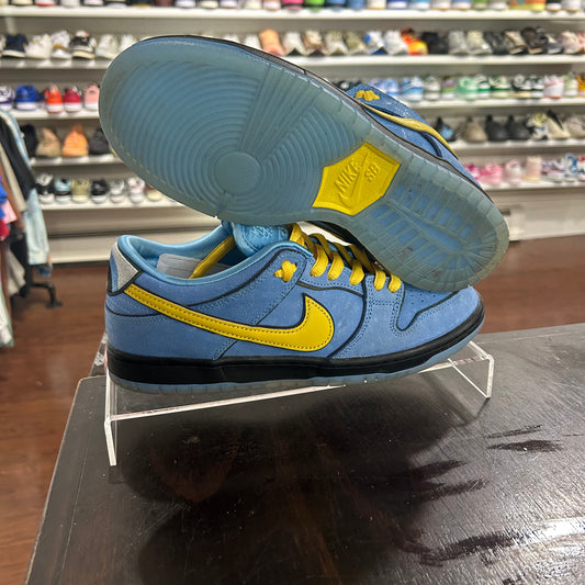 *USED* Nike SB PowerPuff (Size 8)
